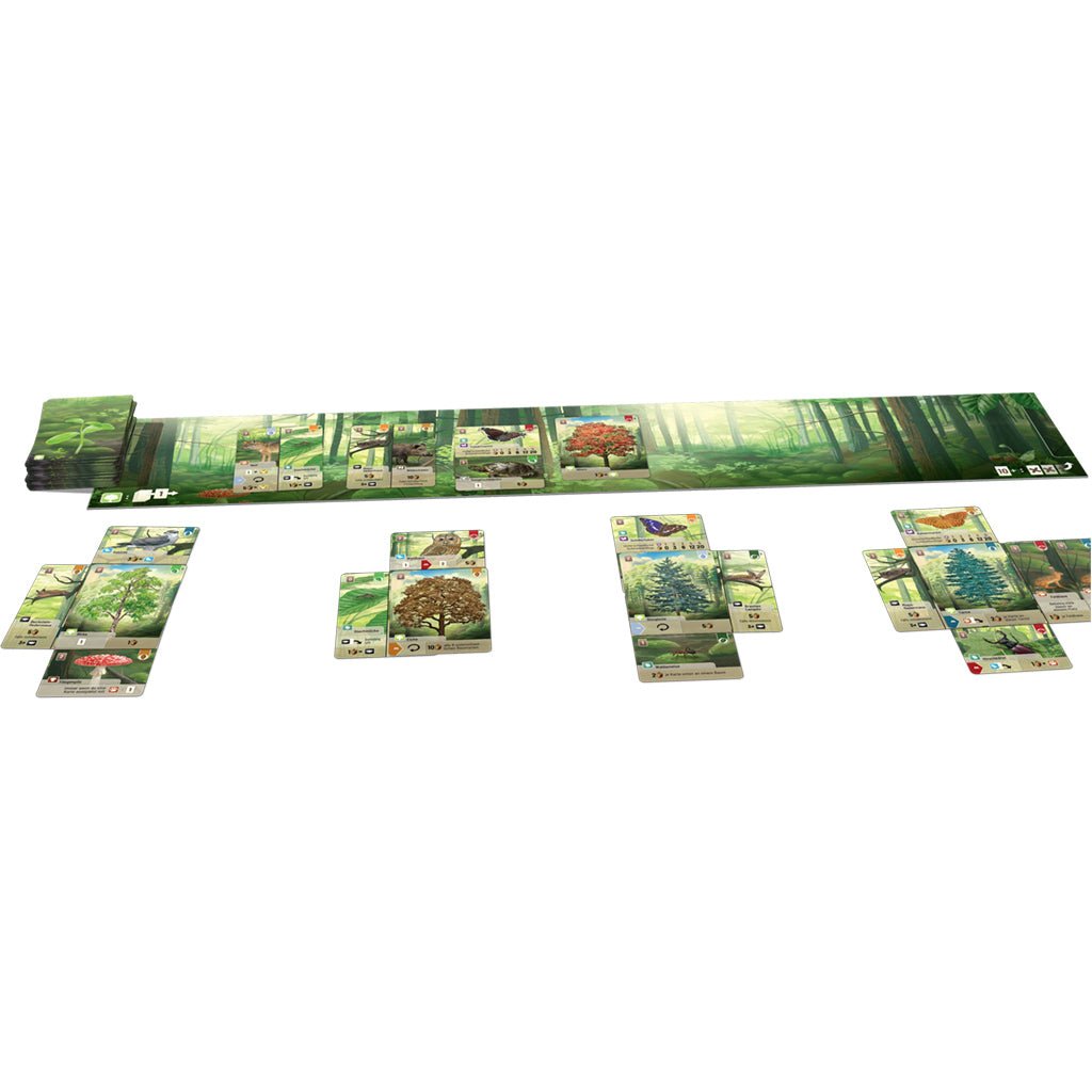 Forest Shuffle Card Games The Compleat Strategist